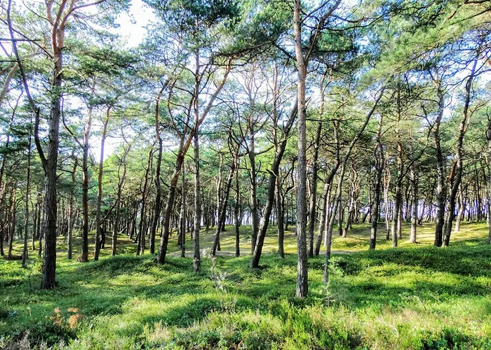 Апартаменты 4 Wave By Interhome *